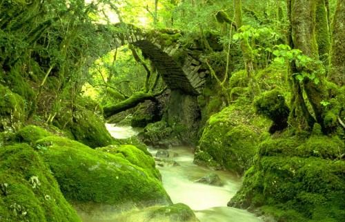 CASCADE DE LA QUINQUENOUILLE